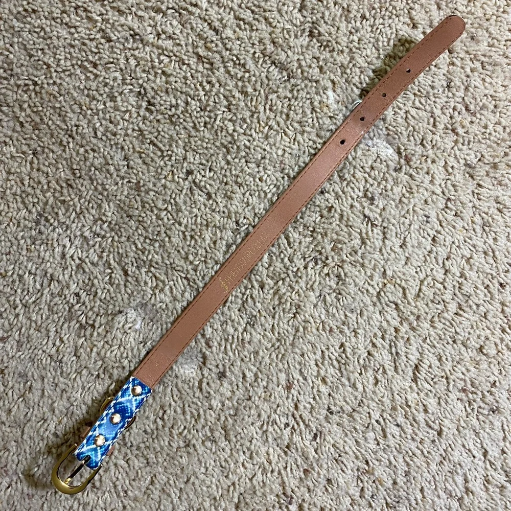 Friendship Mucky Pup Blue Diamond Leather Collar Dog Collar